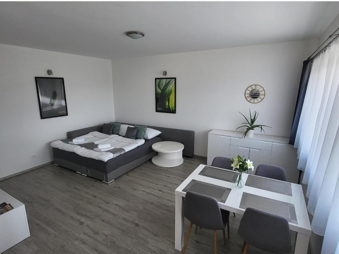 Apartman Gabriela Roudne Buitenkant foto