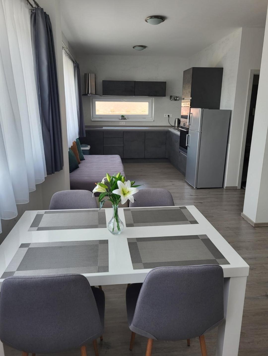 Apartman Gabriela Roudne Buitenkant foto