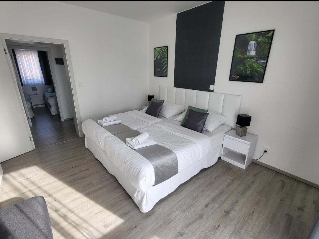 Apartman Gabriela Roudne Buitenkant foto